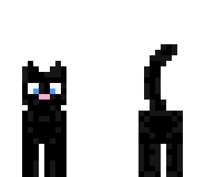 black kitty cat