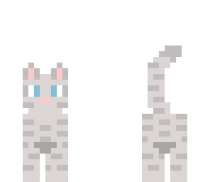 blue eyed grey cat