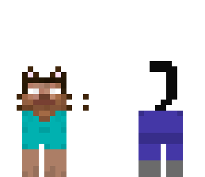 herobrine cat