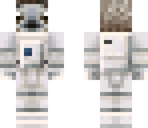 sloth  - astronaut