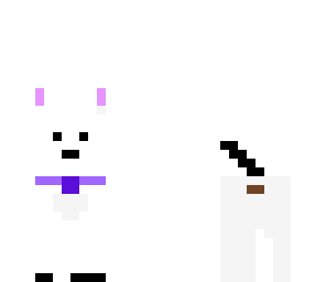 dog skin