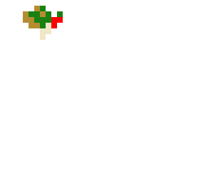 hummingbird 