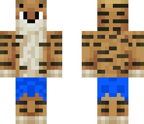 tiger 2