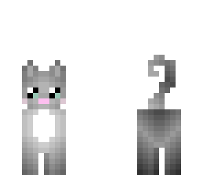 cute gray cat with teal eyes