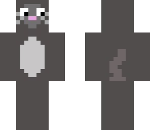 kitty cat