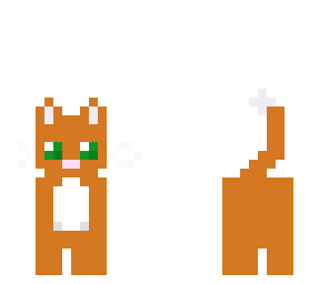 kitty