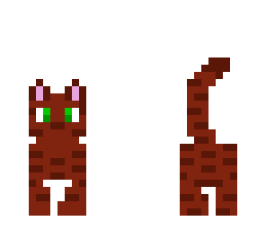 chocolate kitty