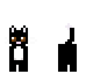 black cat
