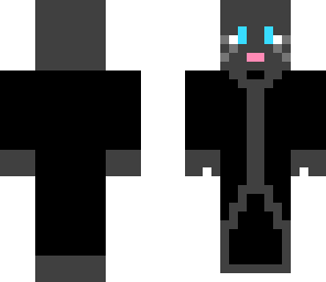 assassin cat