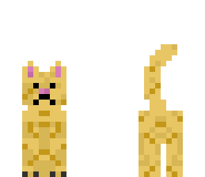 kitty_cat