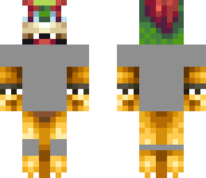 bowser sky