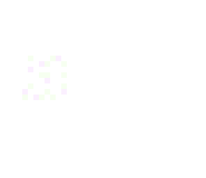 twenty followers