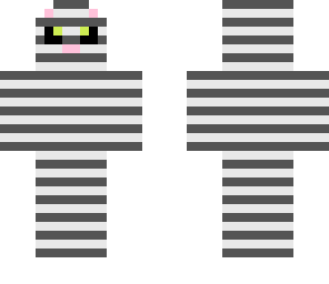 gray cat