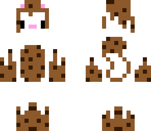 cookie the cat