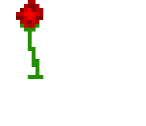 redrose