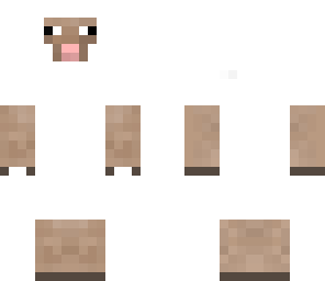 sheep