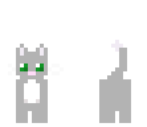 cute cat