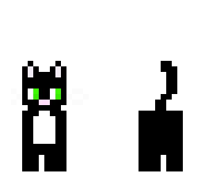 kitty cat