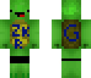 turtle dude zrkgaming
