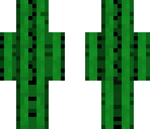 kaktus