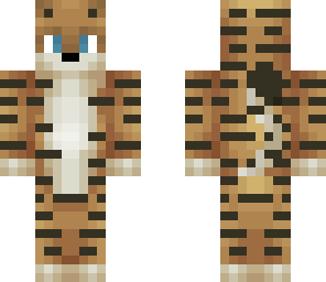 boy tiger