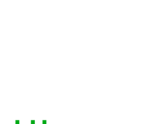 pulga