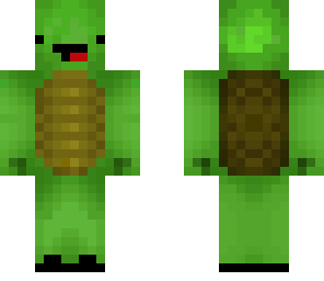 fixed turtle with shoes