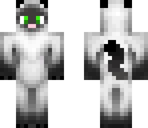 pasch cat