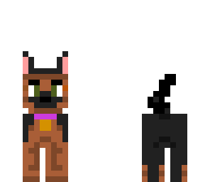 dog