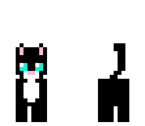 cute cat