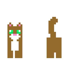 brown cat