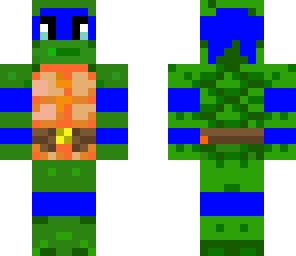 tortuga ninja