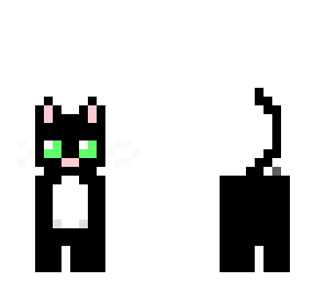 black cat with grey lines