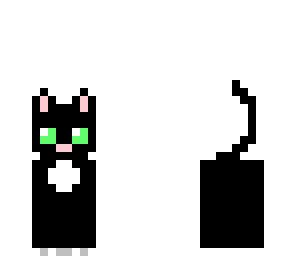 kitty cat