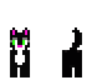 blak cat