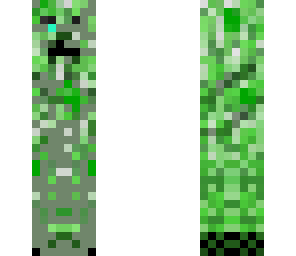 grey creeper