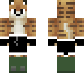 boxing tiger