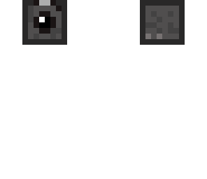 camera skin