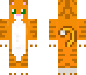 cute cat