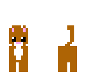 kittenspuppy