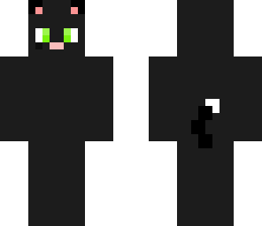 shadow the cat