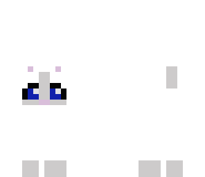pretty white cat