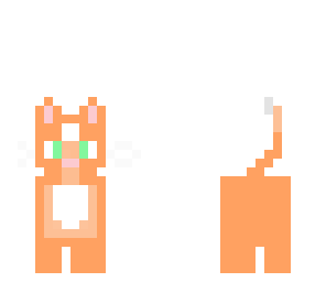 gatito