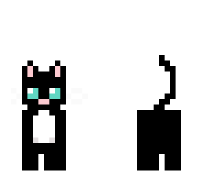 gatito