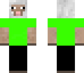 sheep