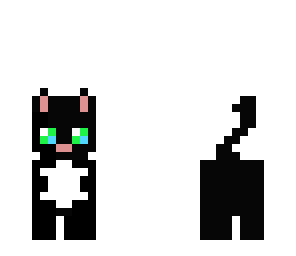 cute cat