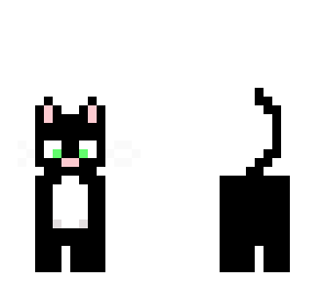 kitty cat