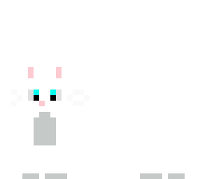 kitty cat