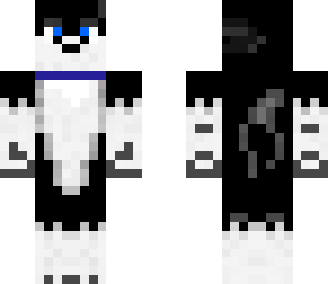 husky puppy