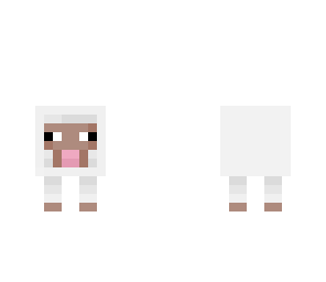 baby sheep